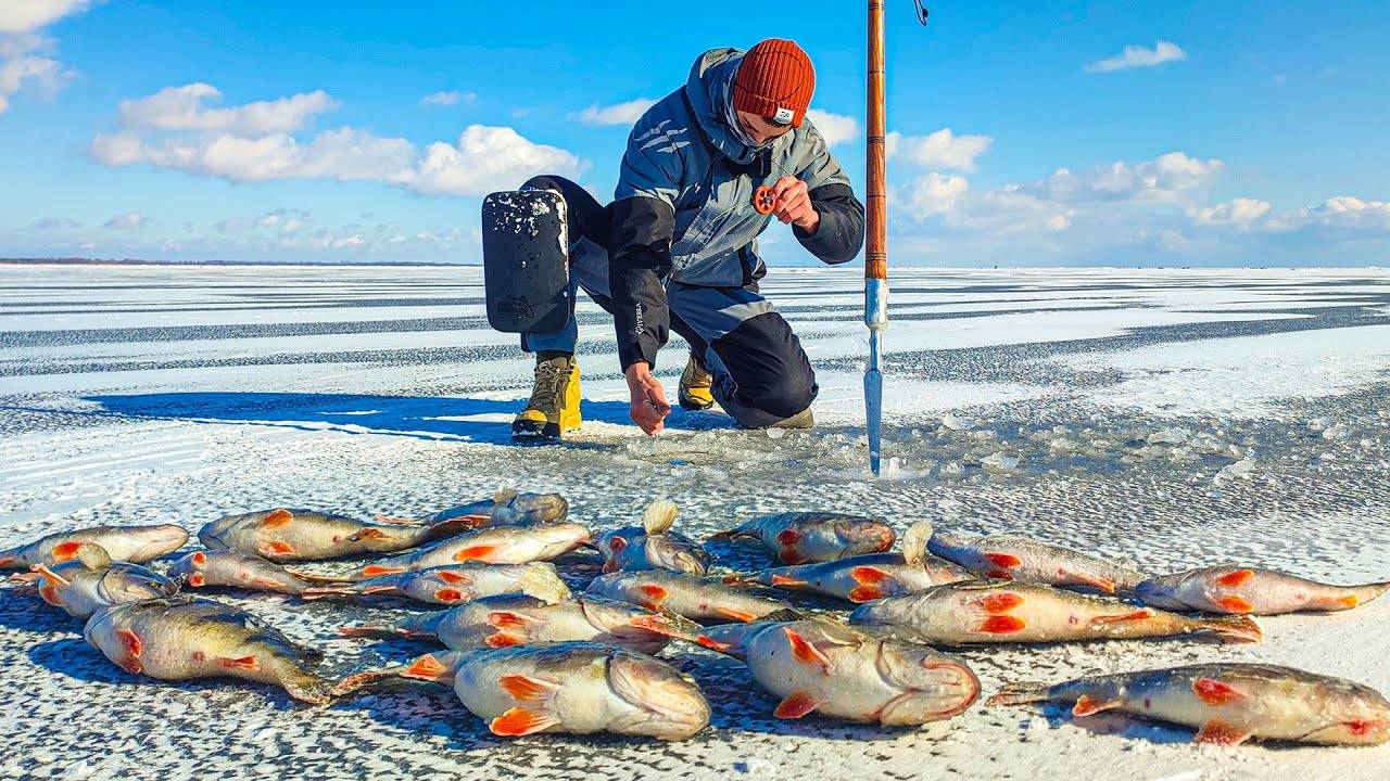 Sussurros das águas invernais no Brasil